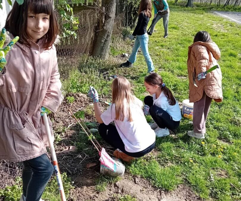 Zadrugari mali – veliki vrtlari