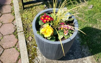 DRAMSKO- NOVINARSKA SKUPINA