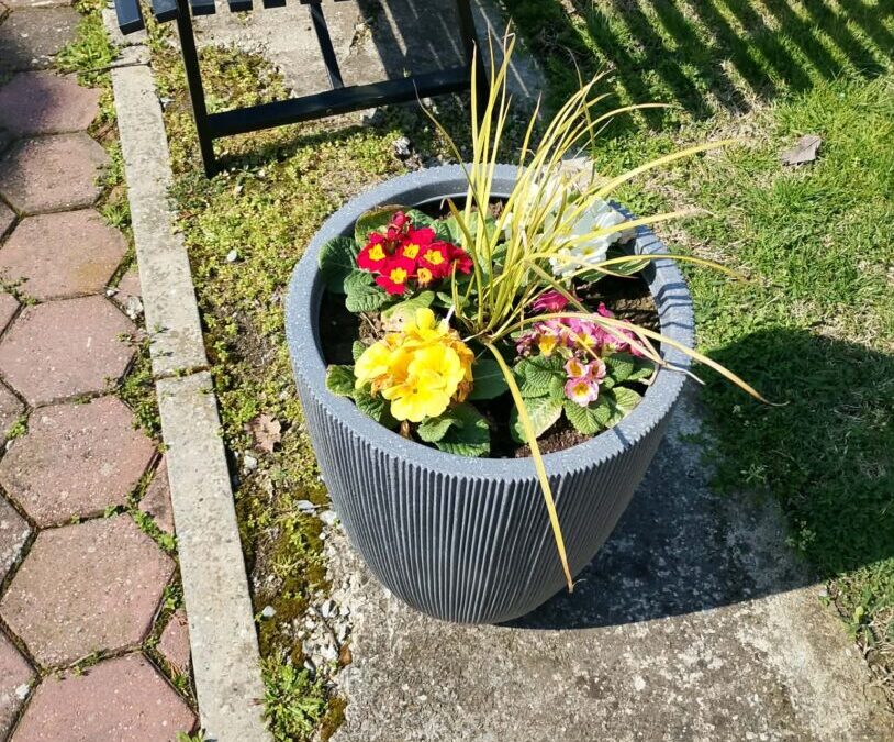 DRAMSKO- NOVINARSKA SKUPINA